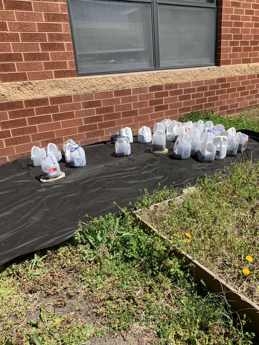 Perfect day to plant our seeds 🌱☀️ Now we get to watch them grow! <a href="/SeldensLanding/">seldens.landing.es</a> #SEL19