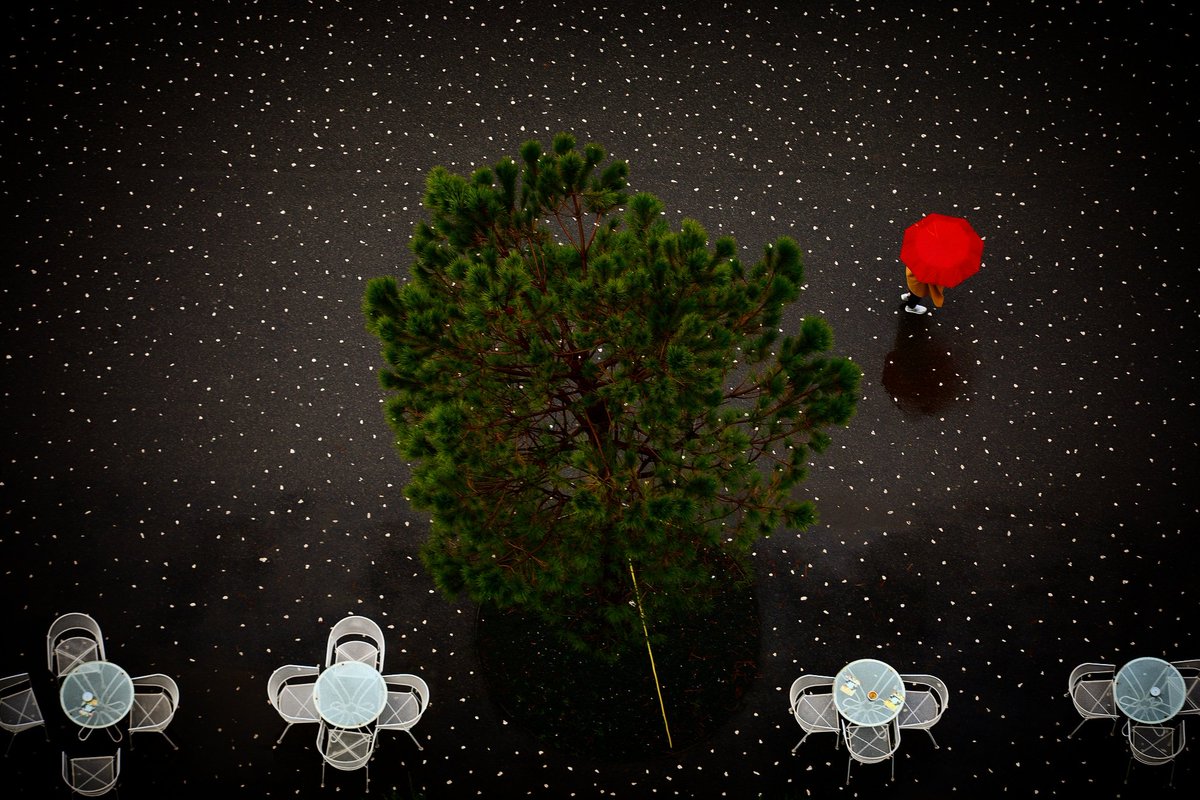 Gent Onuzi tweet media