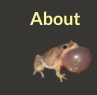 Hrefna (@hrefnas) on Twitter photo 