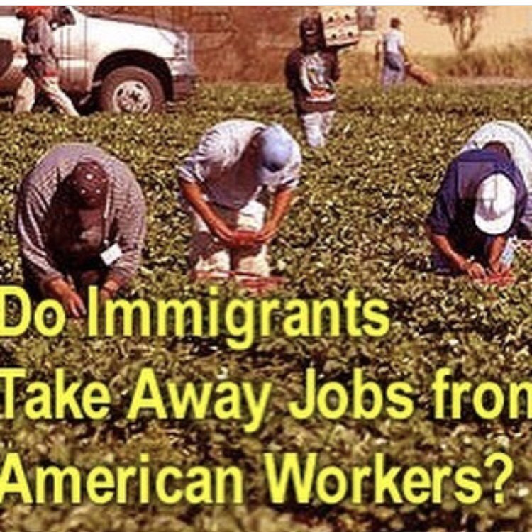TWe2019's tweet photo. In the recent years this has become a hot topic, let us know what you think! #immigrationmythstofacts #imfacts #immigration https://t.co/VPmLLKAF56