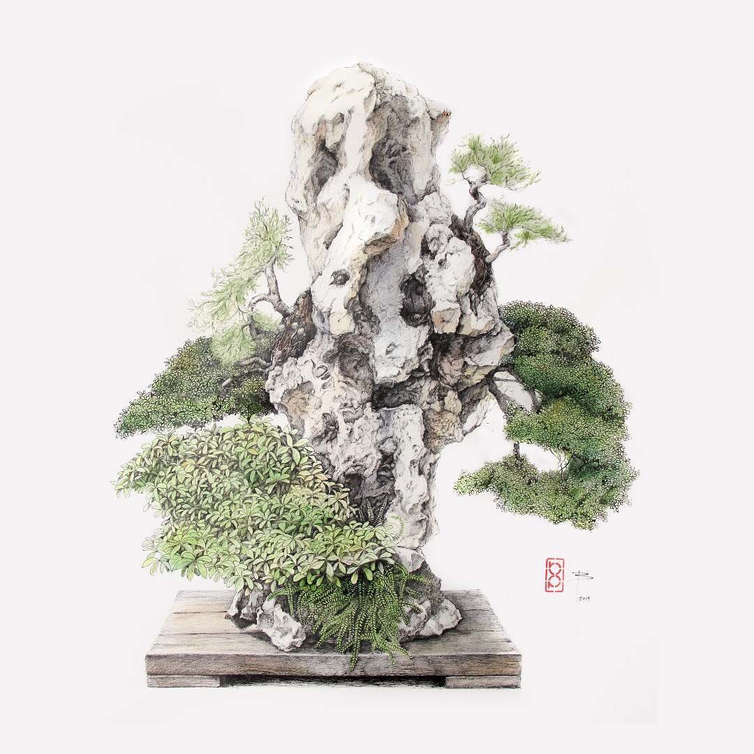 baldi_perez's tweet photo. "Paisaje en roca II".
#juniperuschinensis #saikei #paisaje #bonsaitree #bonsai #ilustracion #art #ilustracionbotanica #realjardinbotanico #botanicalillustration #dibujos #naturaleza #arboles #trees https://t.co/bk1Z9u9lRU