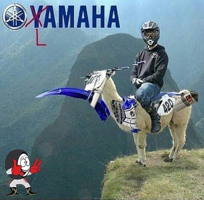 GreigReilly's tweet image. 