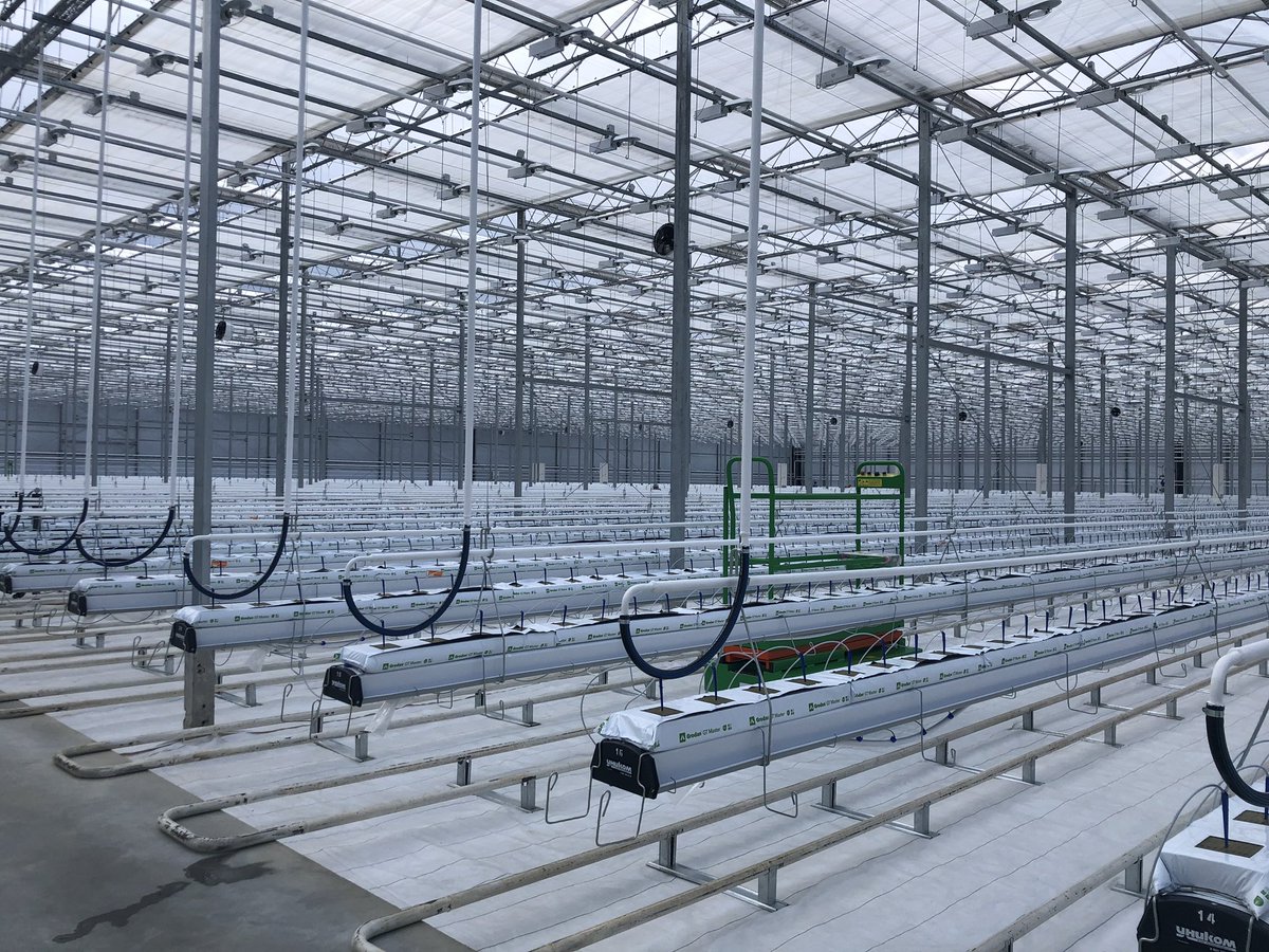 Ещё один новый тепличный комплекс открылся в Орловской области t.me/lezhnev_sergey…