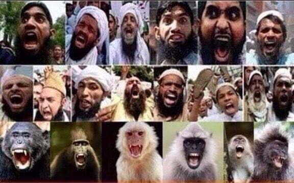 SupreJustice's tweet photo. C1419 Court found religious apple for vote @SpokespersonECI in Pic 1

Court order cancel Muslims from voting list or if Muslims can vote than all animals should allow for voting.
Goat,cow donkey elephant ext,all animals can vote if muslims @aamir_khan @BeingSalmanKhan 
#Election https://t.co/n90O0JuyIy