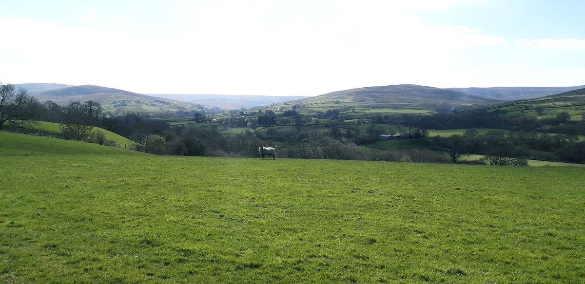 MD_Briggs's tweet photo. The outstanding South #Tyne Valley at #slaggyford and #knarsdale heading up from #Alston.
It's #springtyne in @NorthPennAONB ππ https://t.co/ndHIZVdJyG