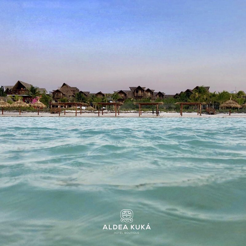 AldeaKuka's tweet photo. Live for the #moments you can’t put into words
.
#paradise #luxurylifestyle  #holbox #travel #visitmexico https://t.co/Art2Zfb5rL