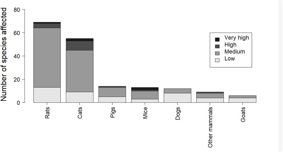 Airam Rodríguez tweet media