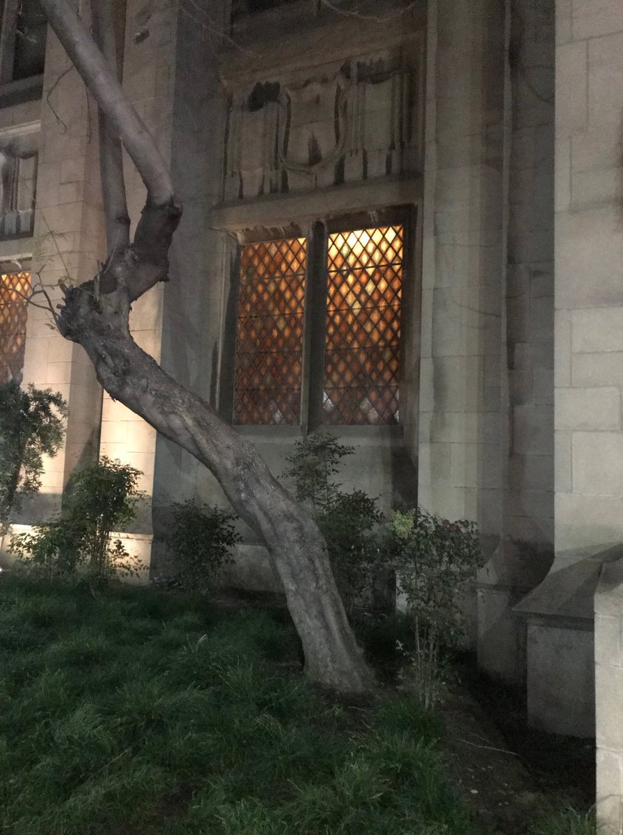 This Sunday + Este domingo: 4.14.19 #LosAngeles #Koreatown #ImmanuelLA immanuelpresblog.org/2019/04/10/thi…