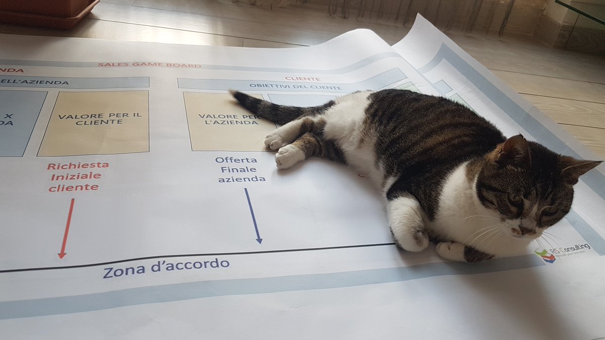 Rachele Soliera tweet media