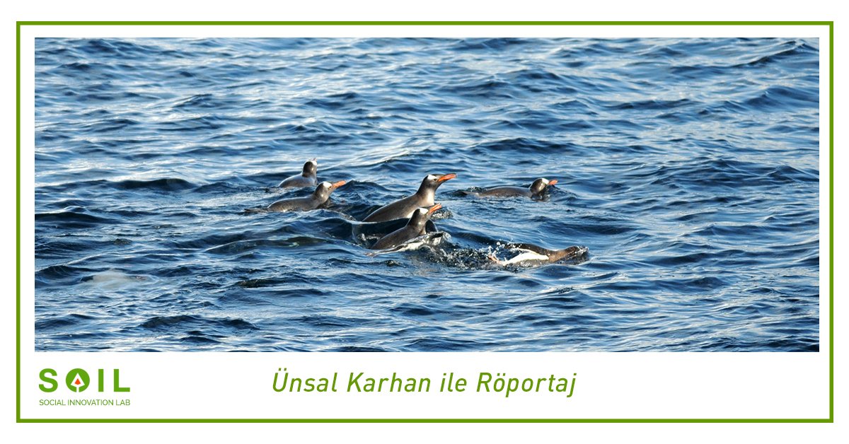 soilinnolab's tweet image. Ünsal Karhan ile Röportaj

Röportajımız İçin: soilinnolab.com/2019/04/10/uns…

#soil #soilinnolab #soilink #kamp #camping #socialinnovationlab #oyun #sosyaldayanisma #sosyalproje #röportaj #unsalkarhan #interview