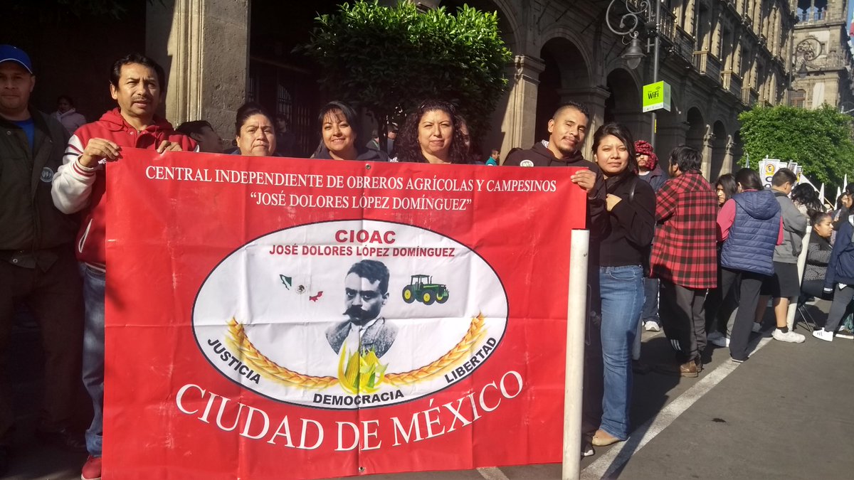 CIOAC_JDLD_NAL's tweet photo. Hoy las organizaciones campesinas del #MCPASXXI  esperamos que el Presidente Andrés Manuel López Obrador, apele a su buena memoria y retifique su decisión de medir con la misma vara a las organizaciones... https://t.co/5nM1diE2CP https://t.co/IKuztUn9vg