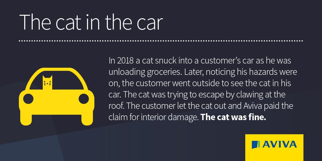 avivaplc's tweet photo. We’re here to help people look forward to the future with confidence, through every twist and turn of their lives. Click here to read about some of the more unusual circumstances we supported our #UK #customers through in 2018. https://t.co/p5sa8JxGPU https://t.co/HUfcMjBPKw