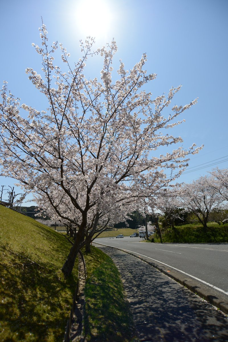 世はなべて三分の一