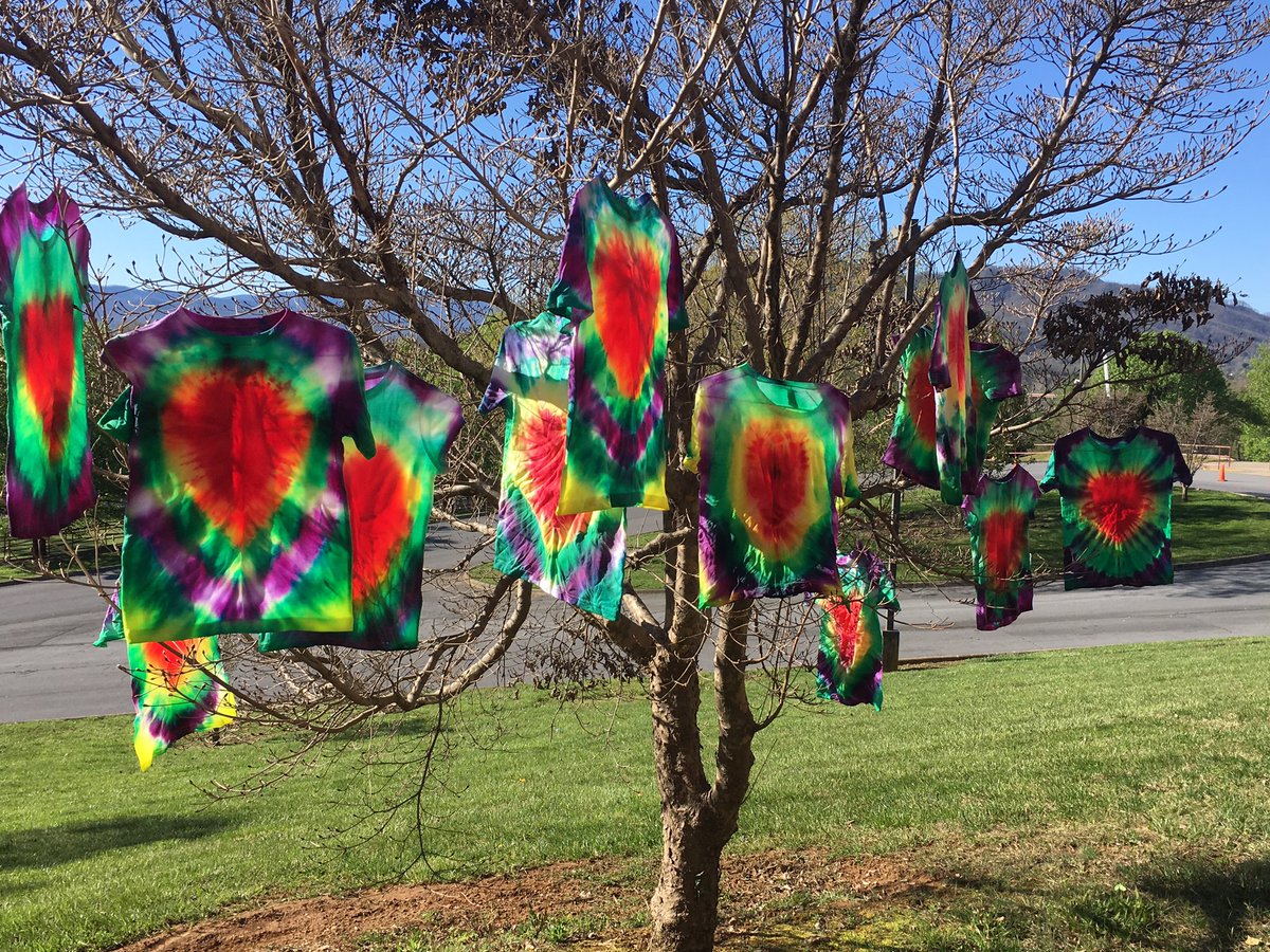 karme42's tweet photo. We tie dyed our FUN DAY shirts. Woohoo #MountainViewElementary #wendyrabbits#caroladams https://t.co/i8sQHIIa9G