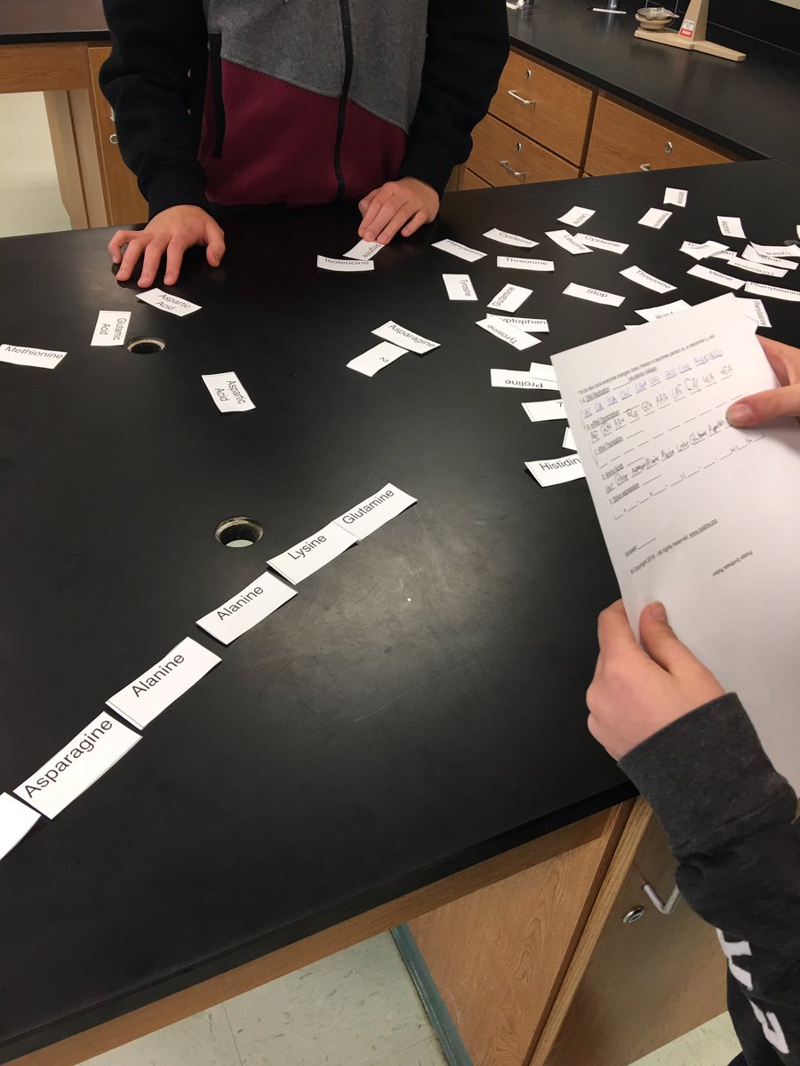 ctbefischer's tweet image. Using the process of protein synthesis to solve math equations. #mathinscience @CTBarkalow @FTSMathsup