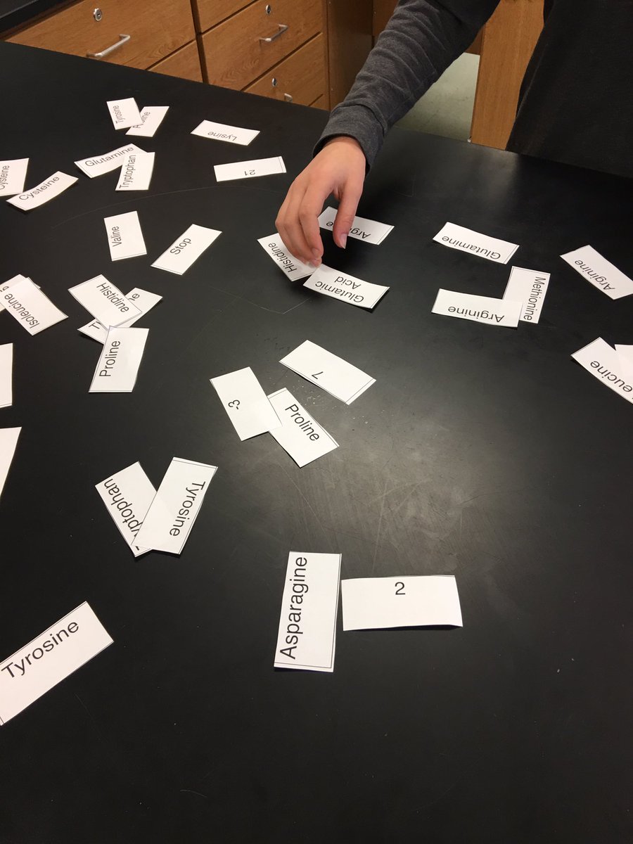 ctbefischer's tweet image. Using the process of protein synthesis to solve math equations. #mathinscience @CTBarkalow @FTSMathsup