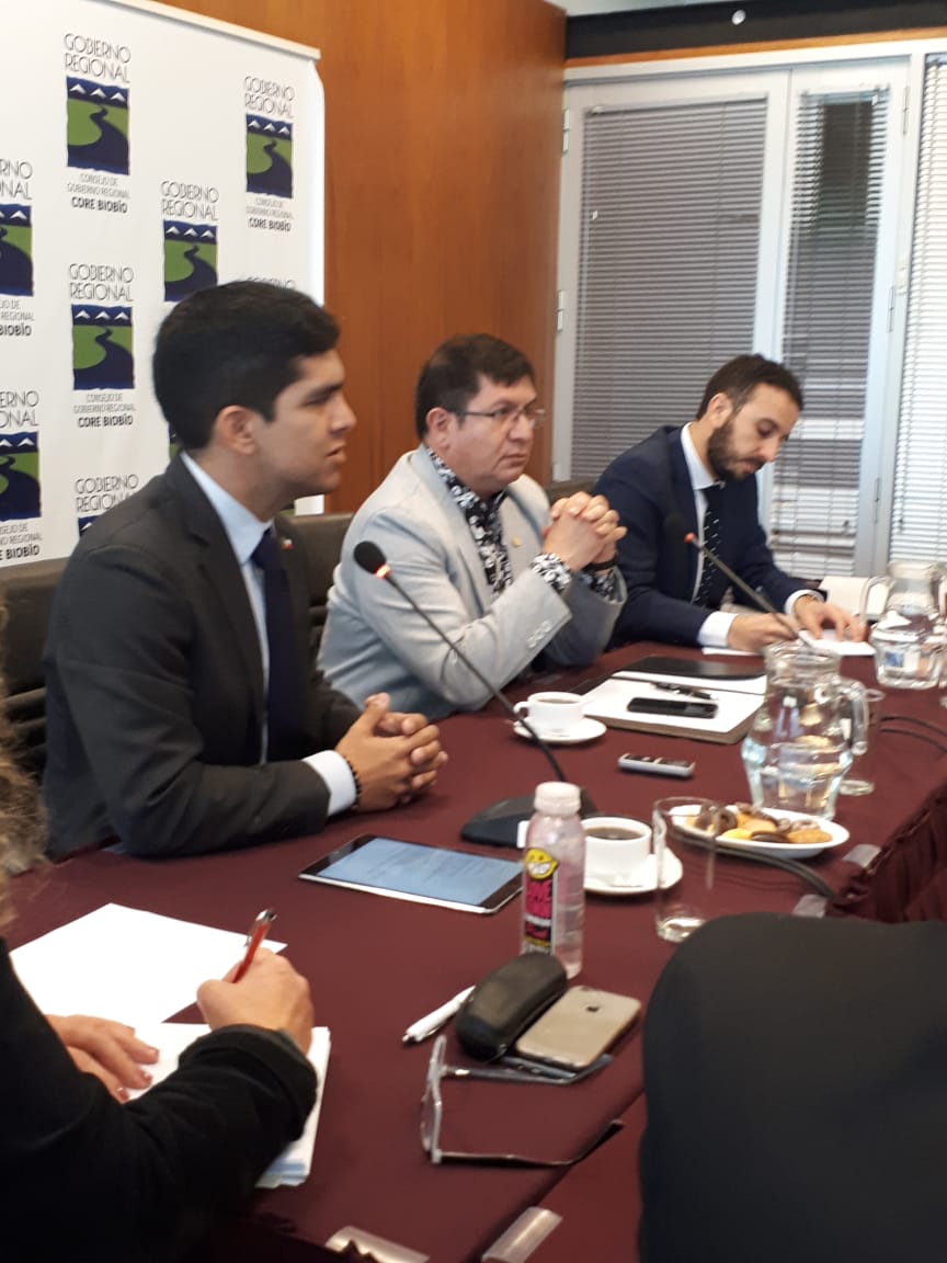 MindepBiobio's tweet photo. [Ahora] Seremi @jpspoerer presenta a comisión de Desarrollo Social del Consejo Regional avances Plan Estratégico Regional de Actividad Física y Deporte. En temas a tratar se encuentran Corporación Regional de Deportes, Centro Polideportivo, Team Biobío y otros.
#ChileEnMarcha. https://t.co/IvFnyL6fLd