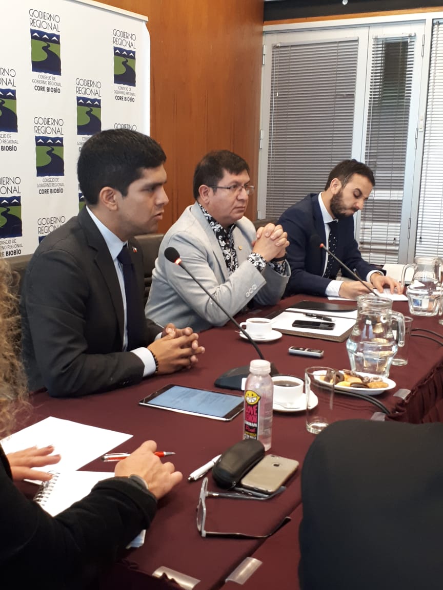 MindepBiobio's tweet photo. [Ahora] Seremi @jpspoerer presenta a comisión de Desarrollo Social del Consejo Regional avances Plan Estratégico Regional de Actividad Física y Deporte. En temas a tratar se encuentran Corporación Regional de Deportes, Centro Polideportivo, Team Biobío y otros.
#ChileEnMarcha. https://t.co/IvFnyL6fLd