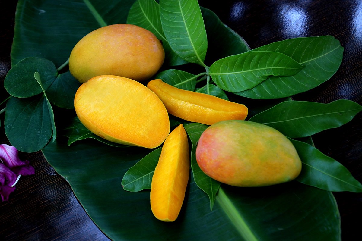 savanifarms's tweet photo. It’s ‘aam’ season again in America, and time for the famed Indian mangoes!
https://t.co/VMYZXLvQma https://t.co/8IHj10Iilo