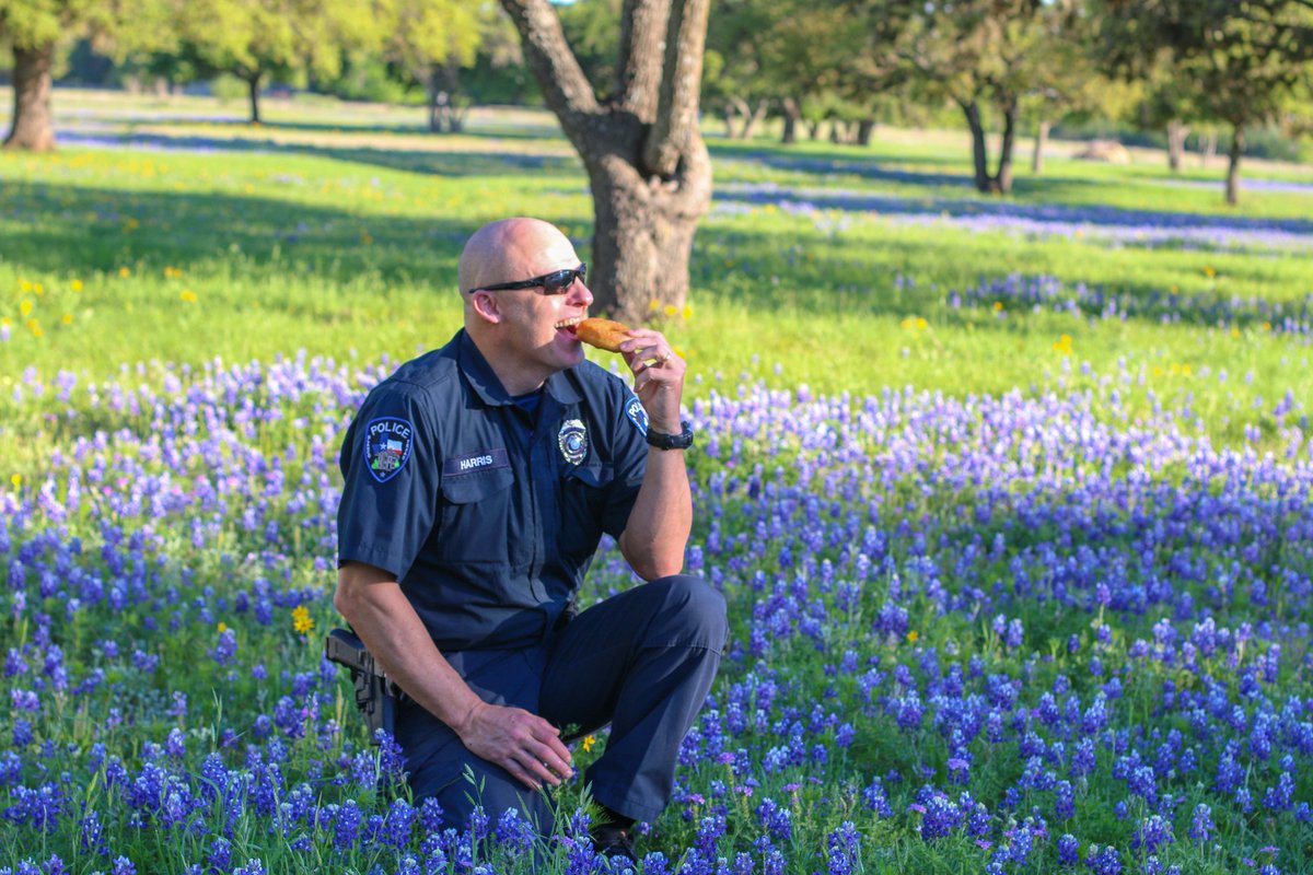 blanco_isd's tweet photo. #BISDSRO Harris joins the #BackTheBLUEbonnets challenge and shows the community one of the safest spots for Blue Bonnet Pictures! Our wildflowers are beautiful along HWY 281, but the field behind the MS is a perfect #safespot for wonderful pictures.  #officershavefuntoo https://t.co/c9ZGFDphk6