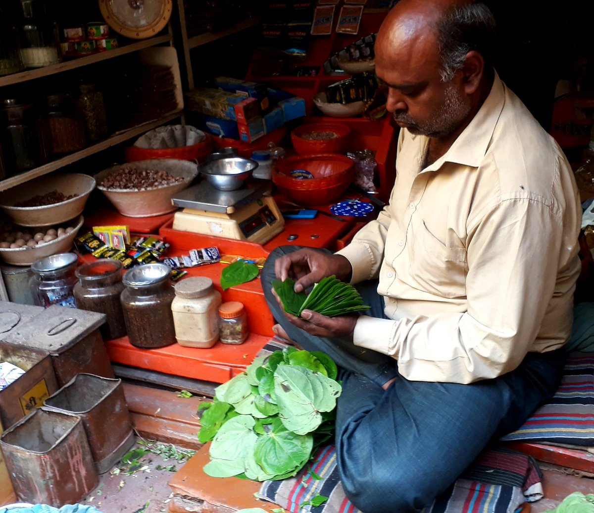 Shweta__Jaya's tweet image. कत्था-चूना-कसैली लगा बनारसी पान,
खा के वोट देने जाना सीना तान...

काशी के हर नुक्कड़ पर है एक पान दुकान
जो न खाया तो, बाबू हो स्वाद से अंजान...

My click during #Varanasi_tour
#vote_for_nation