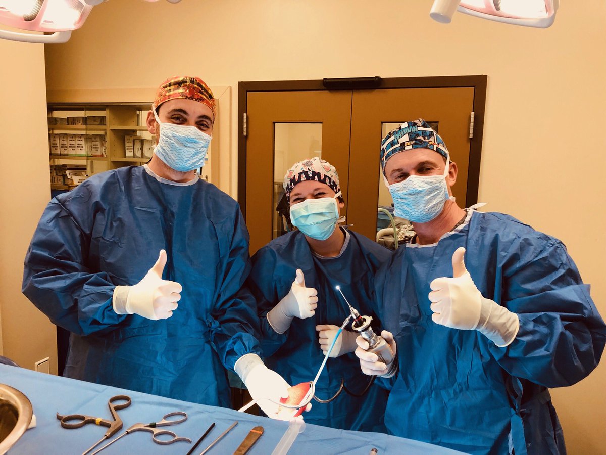 VOSM's tweet photo. Taylor from @LSUVetMed is joining us in the OR for part of her externship! #LSU #GeauxTigers https://t.co/yvn5QG6rdQ