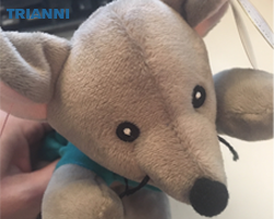 Trianni_mAb's tweet photo. Have you picked up your #TrianniMouse plush @PEGSboston yet? Stop by booth 320 today! #PEGS19 #Trianni #antibodies https://t.co/Z8F8qLphGc