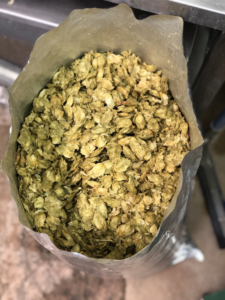 Our new brew is packed full of Ekuanot, Cascade, Chinook and Mosaic hops! Keep your eyes peeled... #newbrew #bootbeer #craftbeer