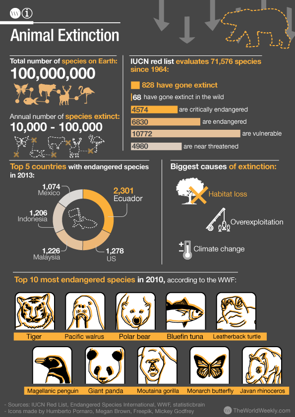 EM203RogerSegal's tweet photo. Its predicted that 1/3 animal species will remain in 2100 if humans continue their current wasteful and harmful consumption habits. I encourage everyone to look over this infographic with more details about this problem! #EM203Problem #EMRobin #environment #ExtinctionRebellion https://t.co/WDjVtaN5d1
