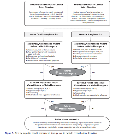 A risk–benefit assessment strategy to exclude cervical artery dissection in spinal manual-therapy: a comprehensive review

<a href="/ChrisWorsfold1/">Chris Worsfold</a> 
<a href="/TaylorAlanJ/">Alan J Taylor</a> 
<a href="/RogerKerry1/">Roger Kerry</a> 

tandfonline.com/doi/full/10.10…