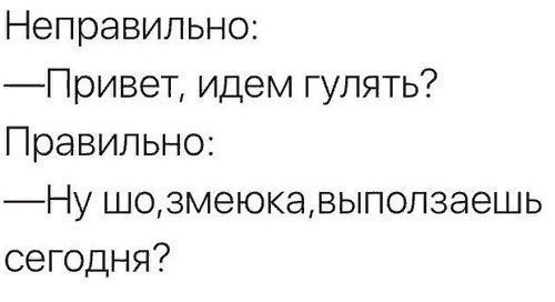 Отговорки чтобы не идти гулять. Отмазки от прогулки. Отговорки чтобы не идти гулять. Отмазки от прогулки с подругой. Отмазка чтобы не идти гулять.