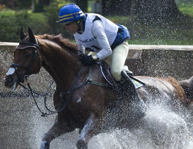 Concussion in Sport tweet media