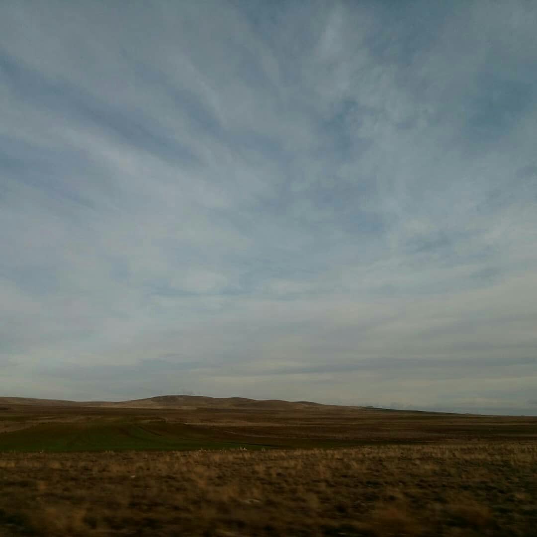 mugeaydin10's tweet image. “Konya, bozkırın tam çocuğudur. Onun gibi kendini gizleyen esrarlı bir güzelliği vardır.”
“Konya is a true child of the steppe with which it shares a mysterious secret beauty.”
#AhmetHamdiTanpınar 
#BeşŞehir #FiveCities #Konya
#PublicDiplomacy #pdWall
#KDA @kdaorgtr @yeeorgtr