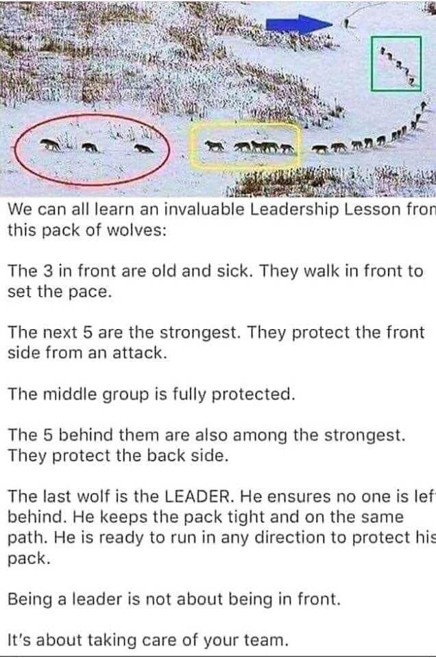 Navyman97's tweet photo. Not new, but relevant. Lead by example and capitalize on your teams strengths! #Leadership #supporteachother https://t.co/EMCPSnwxpI