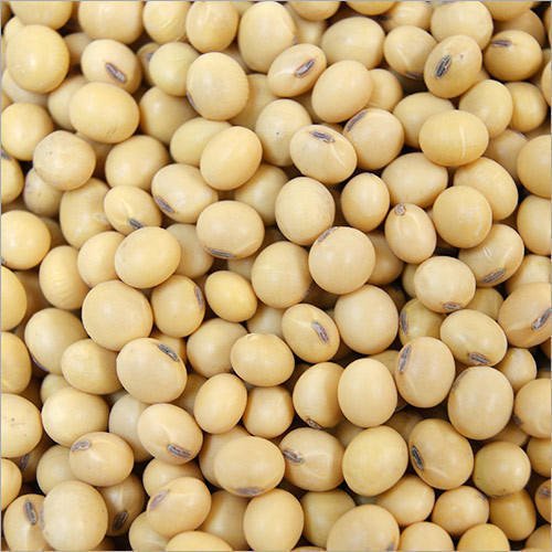 IndustriesRojo's tweet photo. Soybeans are not just an excellent source of protein &amp; molybdenum but also a very good source of iron, calcium, phosphorous, &amp; dietary fiber. It contains vitamins B1, B2, B6, E &amp; folic acid.
Get #Rojostombrown today and nourish your body.
Rojo's Tom Brown, taste nu y3 guy https://t.co/XesF3RghiP