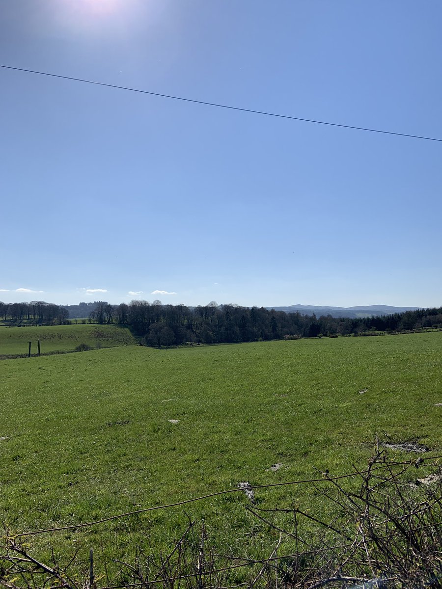 LizWilliamson1's tweet image. Fabulous weather on my @thekiltwalk training today! @WindyWilson88 #HoustonToBridgeOfWeir #Taining #KiltwalkGlasgow