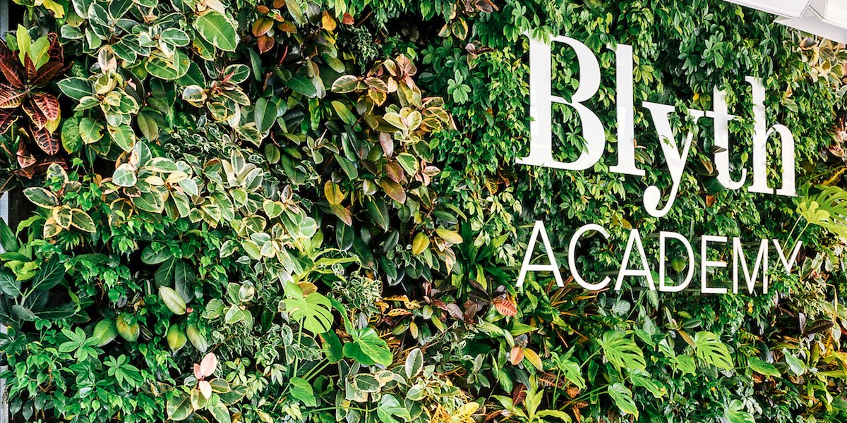 Nedlaw Living Walls tweet media