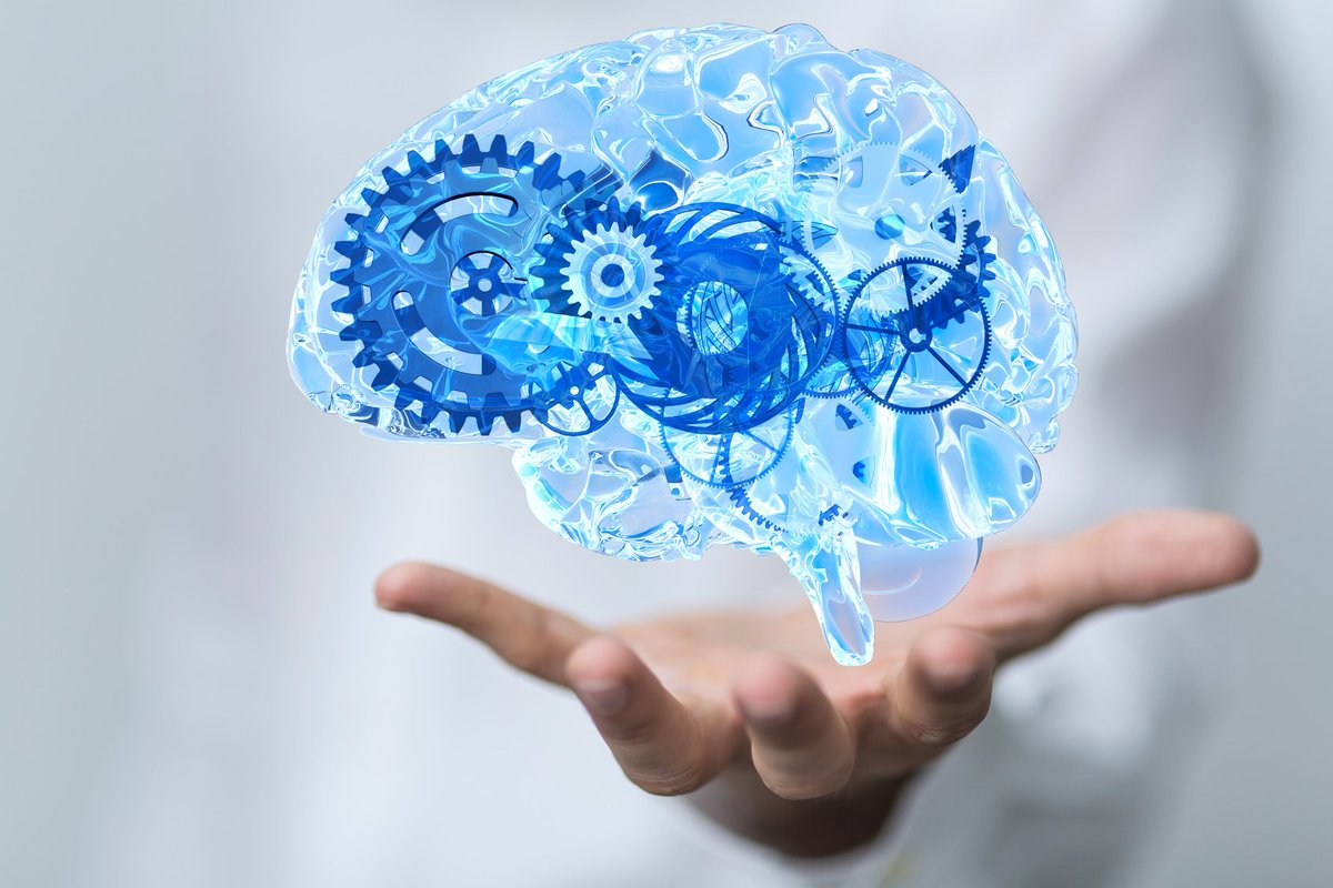 L' #AI, la solution à la maladie d' #Alzheimer ? En route pour le dépistage préventif basé sur un algorithme prédictif avec le Pr. Dubois, Directeur de l'Institut de la Mémoire et de la Maladie d'Alzheimer à <a href="/HopPitieSalpe/">Hôpital Pitié-Salpêtrière AP-HP</a> #NEOMAHumanities #HealthTech #innovation <a href="/NEOMAbs/">NEOMA Business School</a>