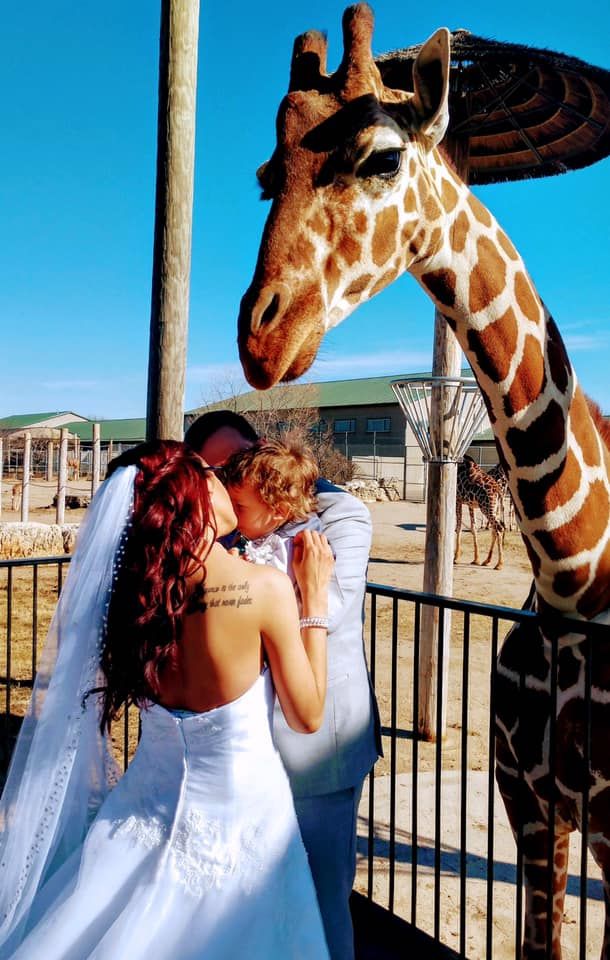 Congrats 🦒👰💍🤵 | #diybride #weddingvenue #giraffe #animals #wedddingday #justmarried #theknot | #PerfectlyPotter |

j.mp/2uTky37