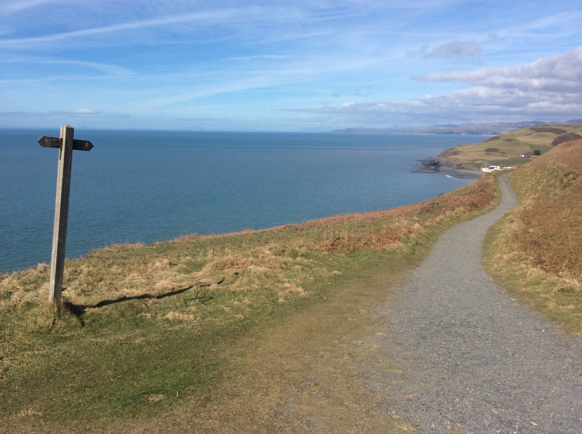 Ceredigion Council tweet media