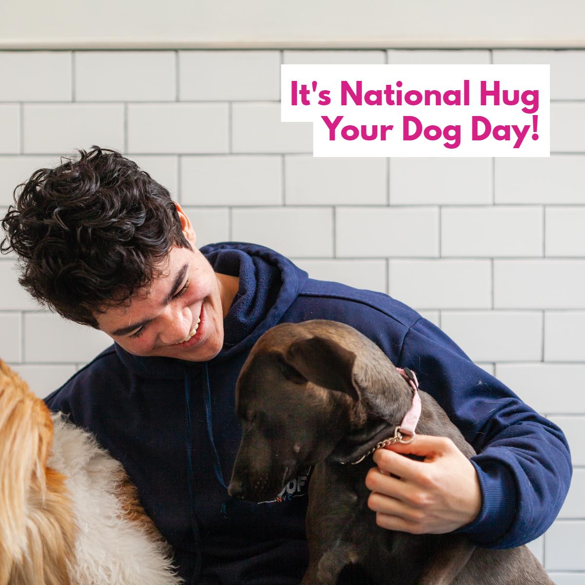 UrbanWoofNYC's tweet photo. Be sure to give a big one to your favorite furry friends. #urbanwoof #doggiedaycare #nyc #dogsnyc #pets #dogwalkingnyc https://t.co/UXwY7fJV9K