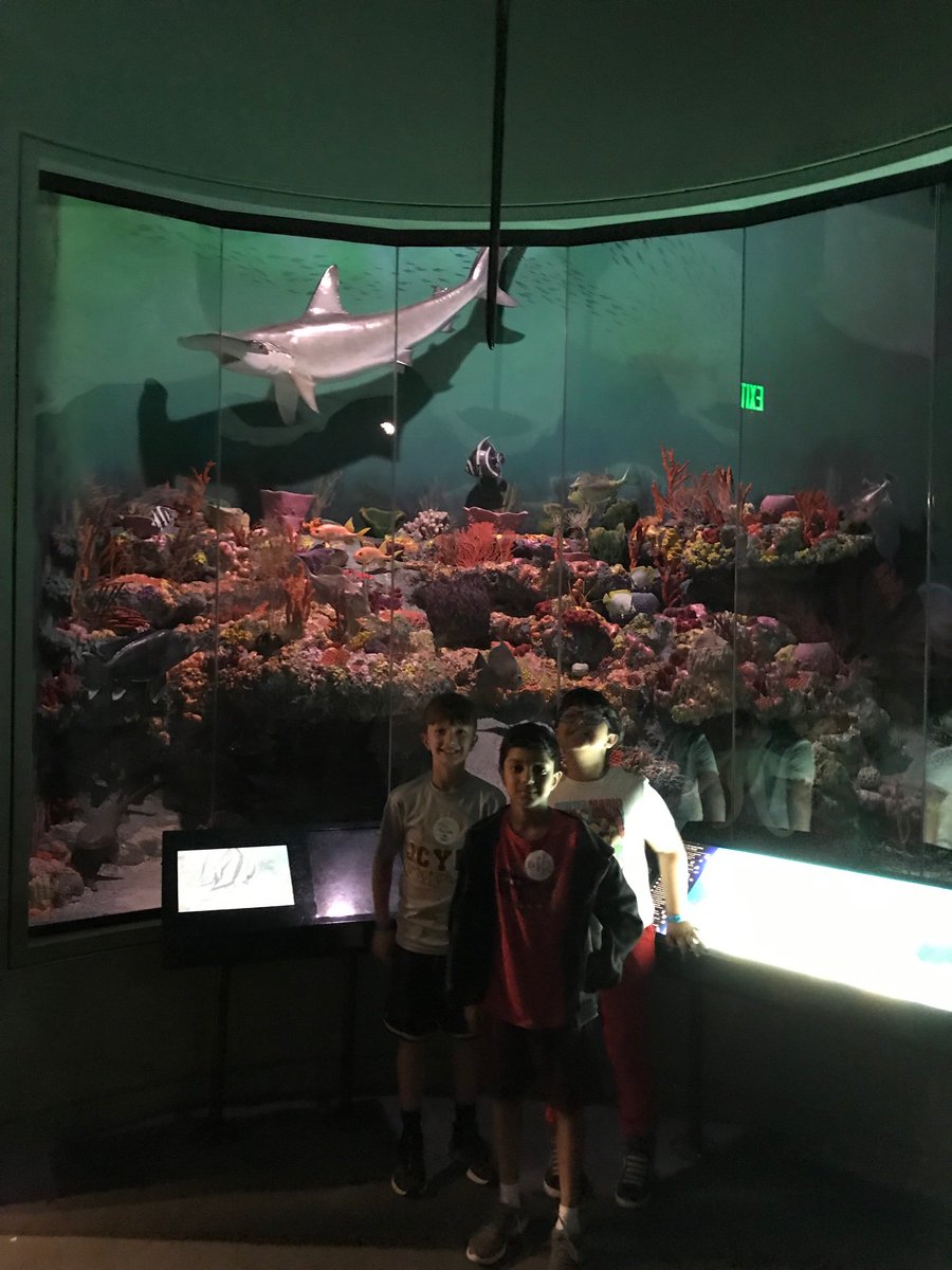 Fern Bank with Dolvin’s 4th Grade