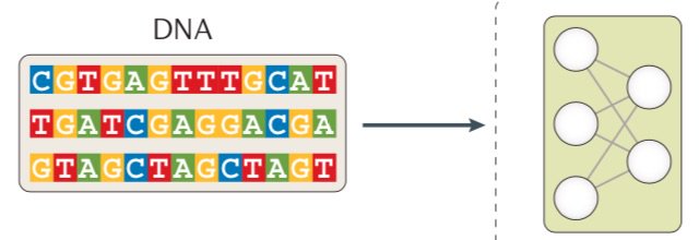 Fabian Theis tweet media