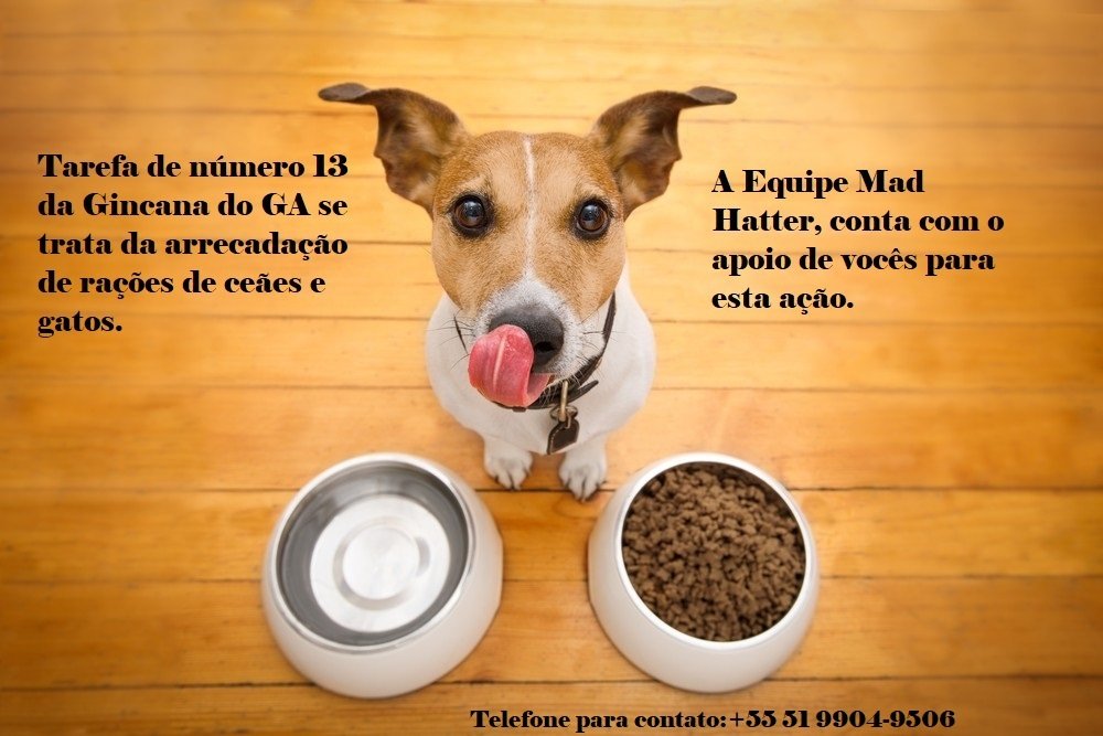 equipe_um's tweet photo. ❤️❤️❤️❤️❤️❤️❤️❤️❤️❤️
Nós da equipe Mad Hatters, gostaríamos de contar com o apoio de vocês para nossa campanha de arrecadação de ração. Tudo que for arrecadado nos ajudará na gincana e será destinado para alguma instituição que vai fazer um bom proveito. 
Contamos com a sua ajuda https://t.co/6kDaYPsDkP