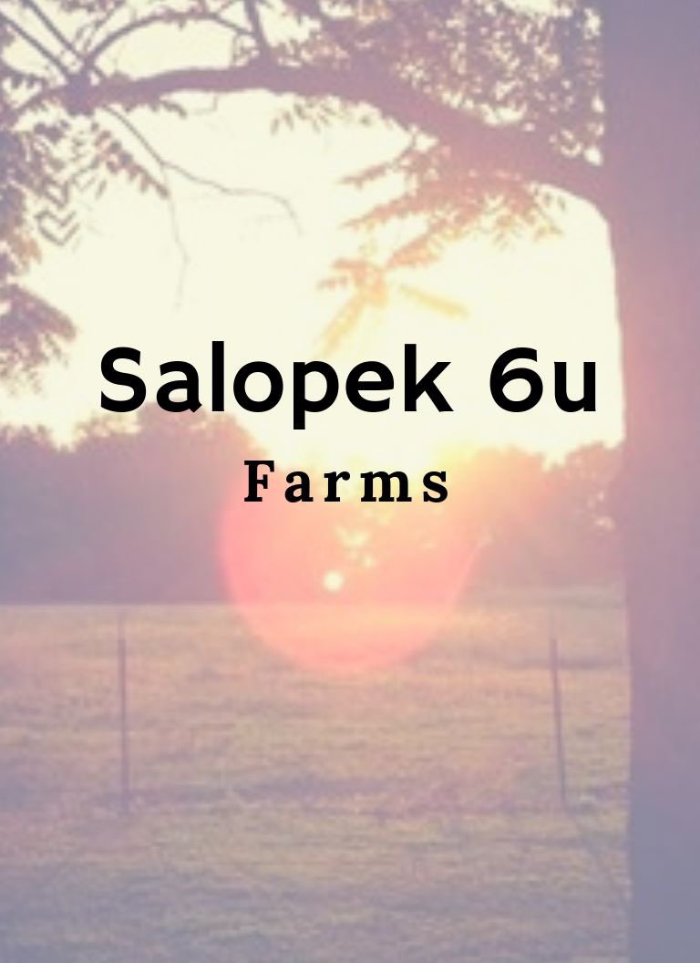 Thank you Salopek 6u Farms for your continued support of the 12th Man Tournament!