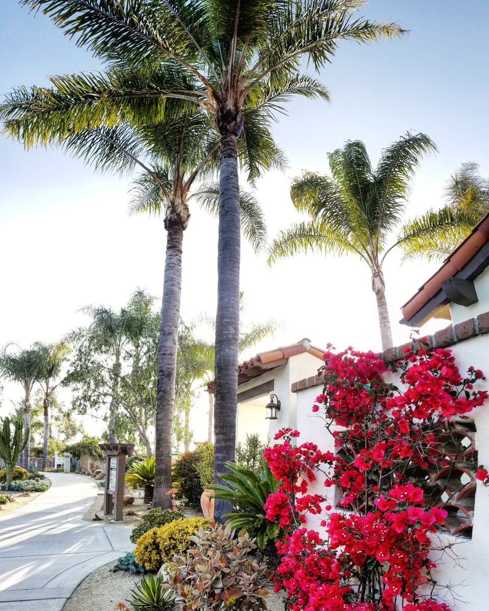 Hello and happy Wednesday! 👋😍 Getting ready to preview some #Carlsbad #homes today! 🌴🏡  #realestate #casa #california #cali #socal #ranchocarrillo #hometour #realtorcommunity #sandiegosells #sandiego #sandiegorealestate #leocarrilloranch  #carlsbadrealestate #socalrealestate