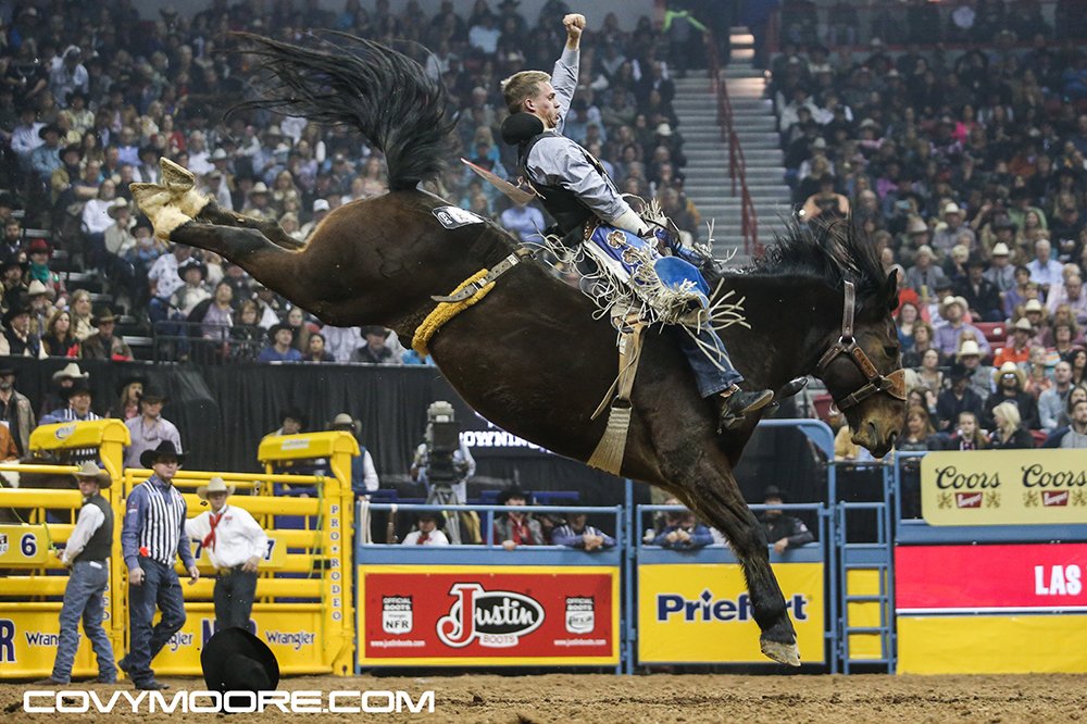 TwisTEDRodeo's tweet photo. The @GuymonChamber @GuymonRodeo is a "hometown" rodeo of sorts for several @OPSUAthletics rodeo alumni, and @OrinLarsen is having the best start of the season of any of them in 2019. He is ready to return home the first weekend of May. https://t.co/0QeDyGmCWD https://t.co/E4LIAbJDeQ