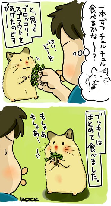 ハムスター を含むマンガ一覧 いいね順 3ページ ツイコミ 仮