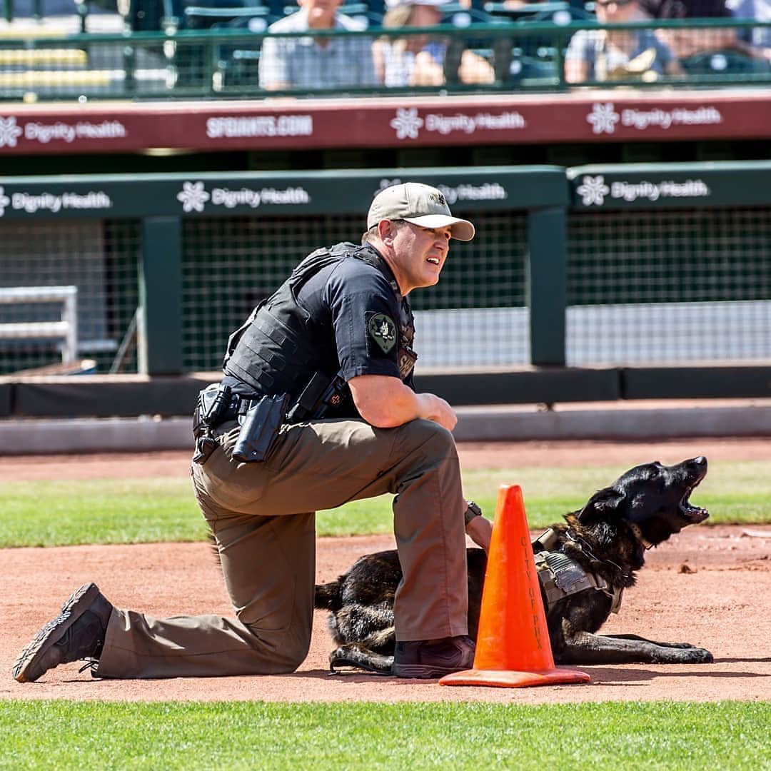 workingdogmag's tweet photo. It's #workingdogwednesday ... Show us your work!
#workingdogmagazine #wdom
#photo: k9_kaos
#humpdayvibes #wdm #dutchshepherd #k9training #k9unit #dutchmafia #k9cop #workingdogs #handlerprotection #furmissile #standbytogetsome #k9trials #k9life #k9strong #policedog #thinblueline https://t.co/fCQfvfxy5X