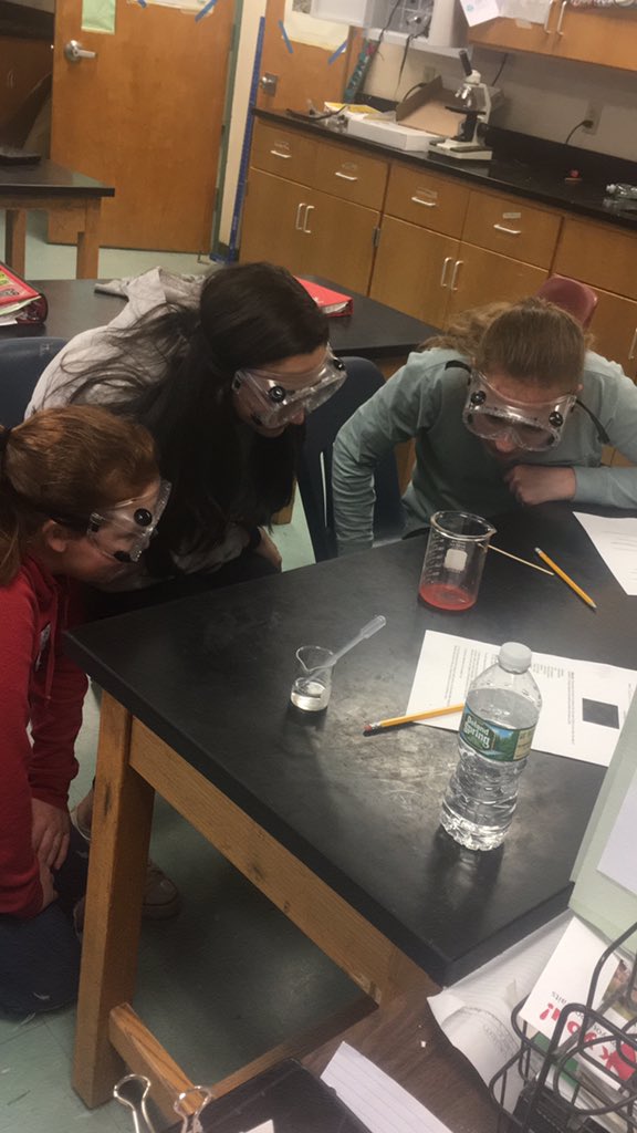 Extracting DNA from strawberries in science today.